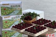 六爻免费高速赋能产业升级：一条“杨梅路”的致富密码