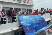 六爻免费浙江今年计划放流种类海洋水生生物苗种超15亿单位